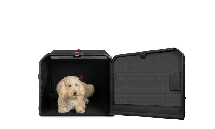 1ONE1 Faltbare Origami Hundetransportbox